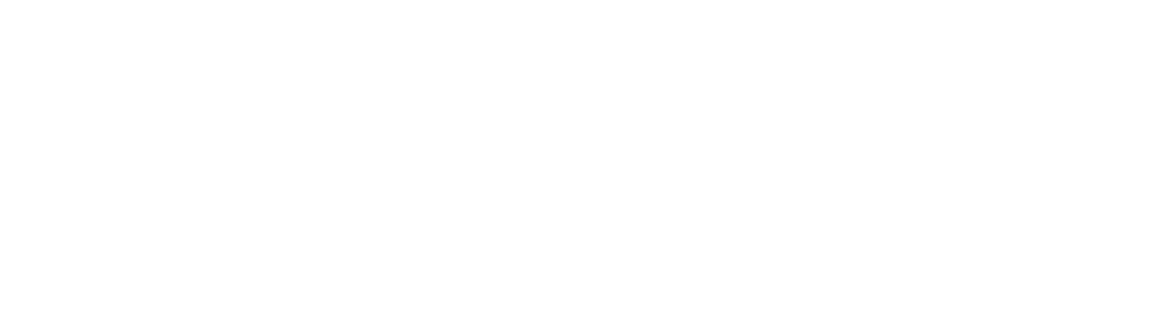 Naaura Group